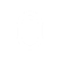 Delivery Online Icon